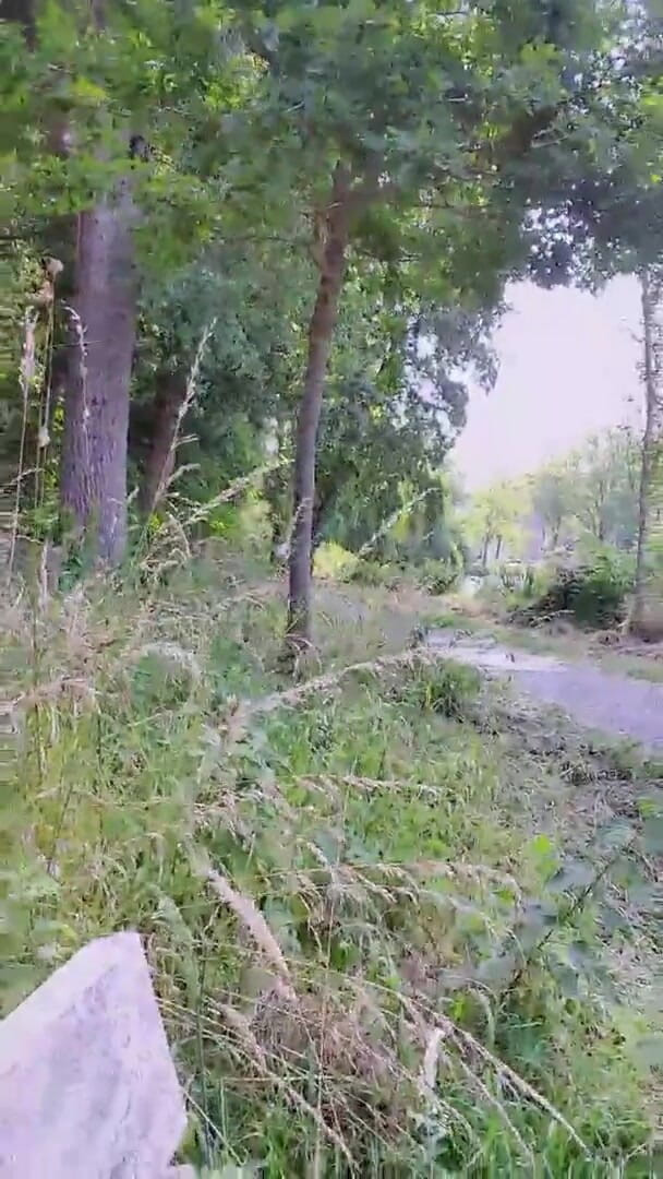 Slutboyben: Slutboyben Cam4 Mega Seksowna publiczna świnia ekshibicjonistka