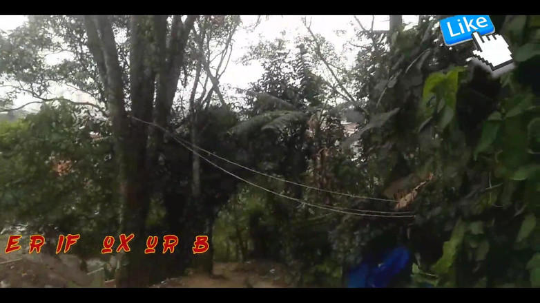 Bruxo fire: Rol no morro con candy D4