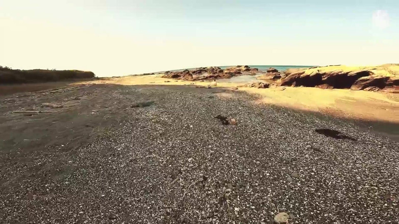 Yoshi Kawasaki XXX: Yoshikawasakixxx - Yoshi Kawasaki estica o buraco de Axel Abysse