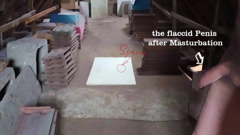 Mark Hannes: Rychlá masturbace starého úložiště