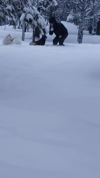 What Do You Do When It Snows