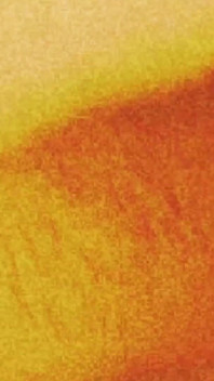 Orange Sexy Butt Dream