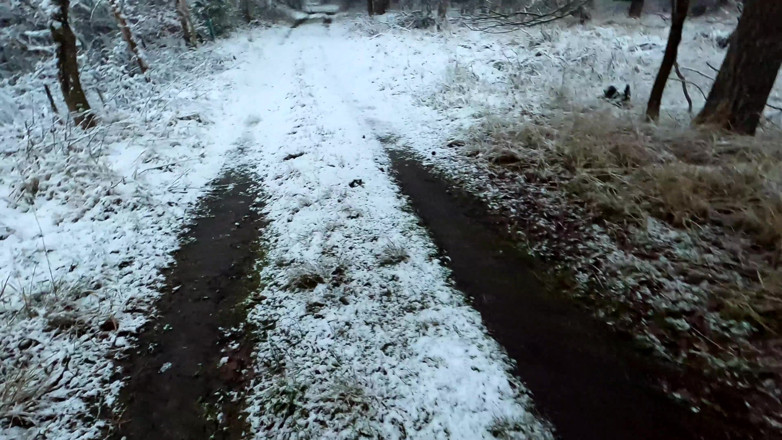 Bouncy Tits Action: Complete Naked Busty Girl in the Snow