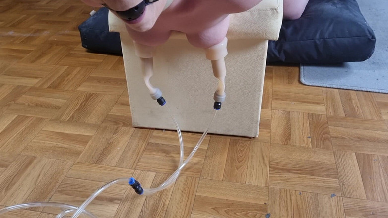 Lucysun30: 젖을 짜는 노예 Anny 1부