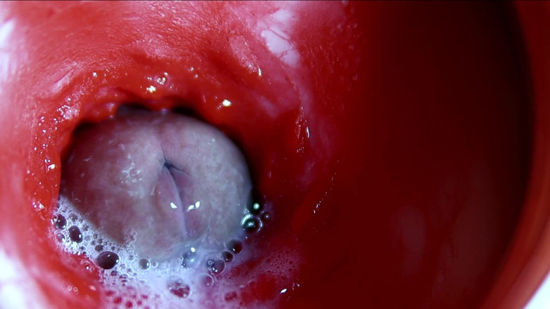 SEXY_GUYBEST: 非常接近的大量精子流在一个甜美的asmr湿啪