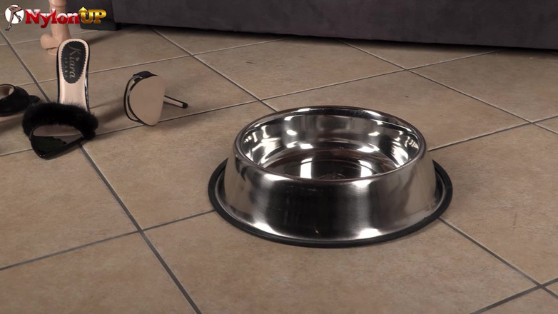 FootFetish Girls With Sex Toys and Nylons: 和两个变态的女士撒尿