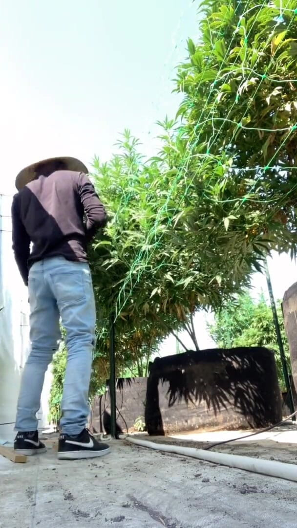 Xooshua (xblue18): Я хочу трахнути тебе в полі