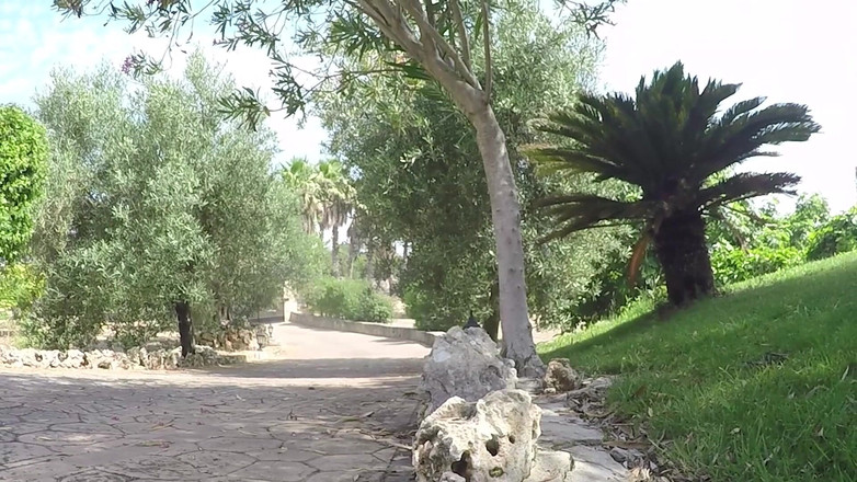 King of datass: Różowe strzelanie