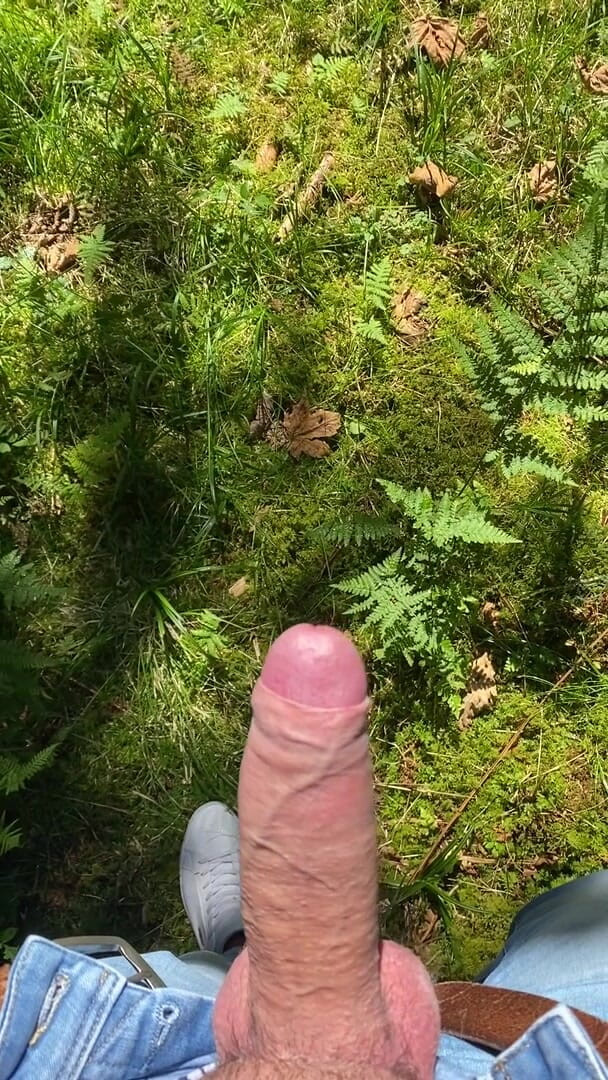 Zaharia: Skog wanki 2
