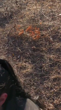 Girlfriend Took Me to the Forest Where She Sucked Me and I Fucked Her