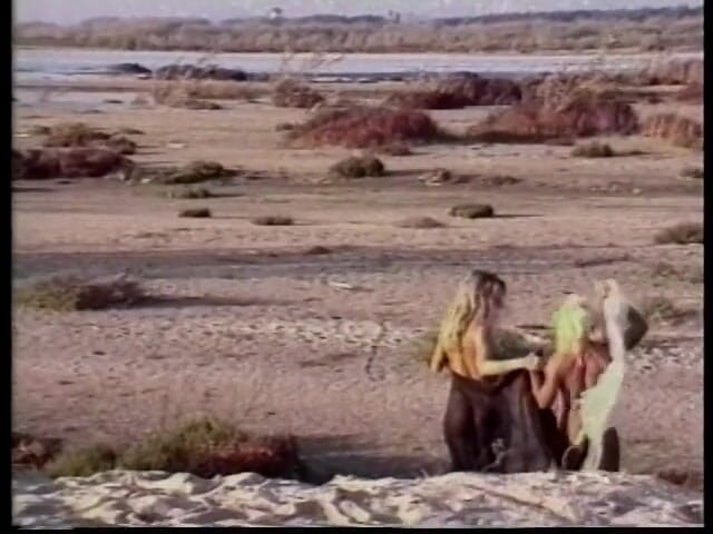 Girl on Girl: Blonde lesbians lovers lick each other on the sandy beach -...