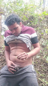 In Forest Alone