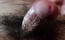 Hairy Italian dick 3D: Hairy Close up Cock Dick Balls Ass Cumshot