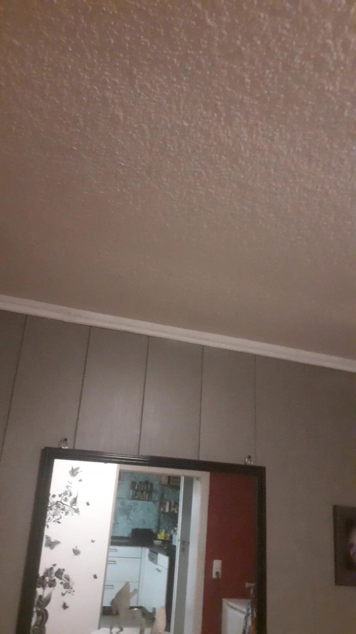 tammara big: 私は何をしてしまったのですか?