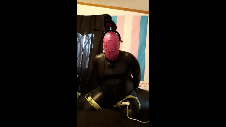 Roxxie rae page: 束缚兔子