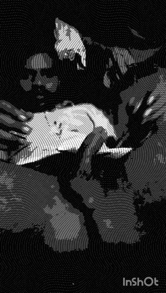 Optimalsuryansh: Un ragazzo che scuote il suo cazzo