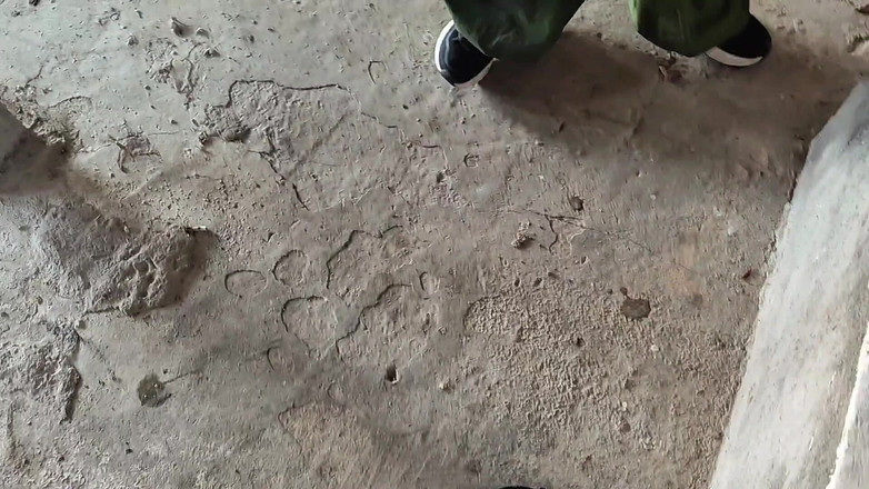 Crisanto999: When Our Parents Aren't Looking After Us, I Ask This...