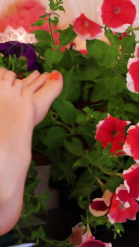 Flowers and Feet