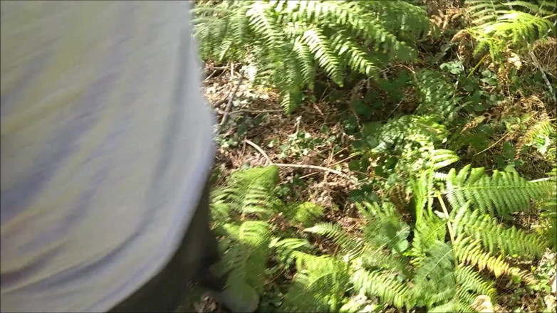 K Vw: Imprévu dans les bois