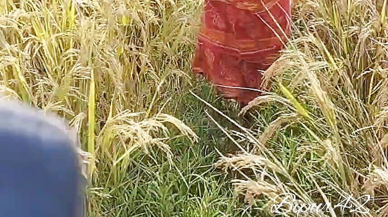 Pumi: Sesso all'aperto. Sesso jungale. Sesso. Porno indiano.