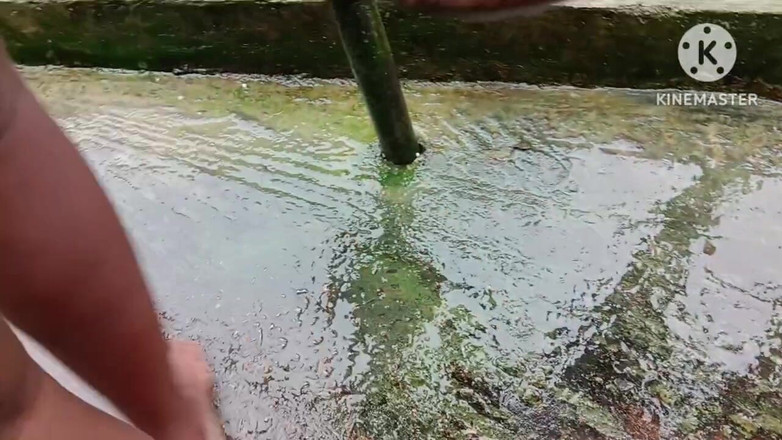 Nenika: Desi Bhabhi zerżnął swoją cipkę za pomocą Rolling Pin