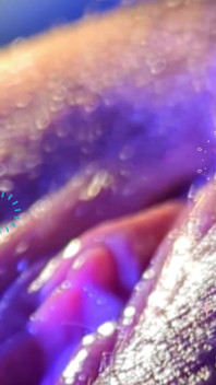 Chatte squishy
