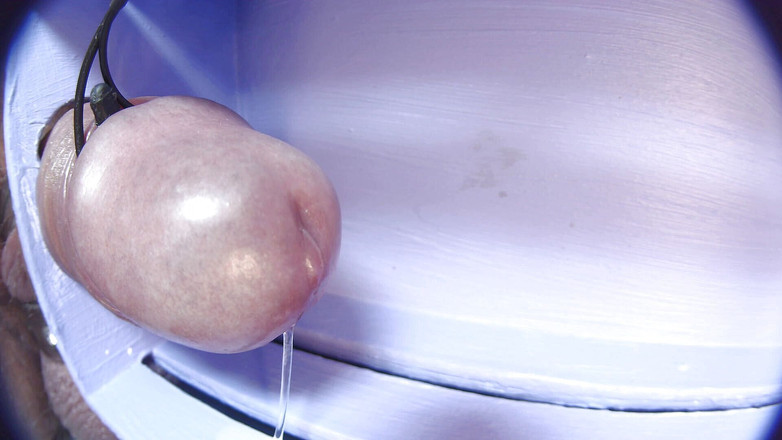 Gaylectrician: E-stim výstřik 21-11-22