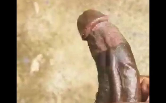 Rex Bitchington Blade: आउटडोर खेल संकलन