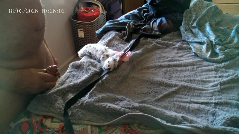 Ramblin Rows: Bedside