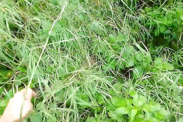 Gangbang straight: मैंने एक महिला को देखा और भाग गया और हस्तमैथुन किया और पेशाब किया।