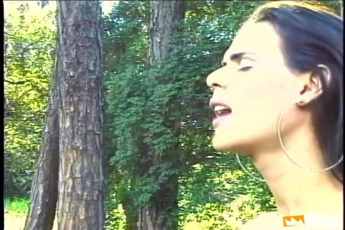 Shemale Idols: Татуированные мужик и сексуальный шмель лижут и шпилят их задницы на улице