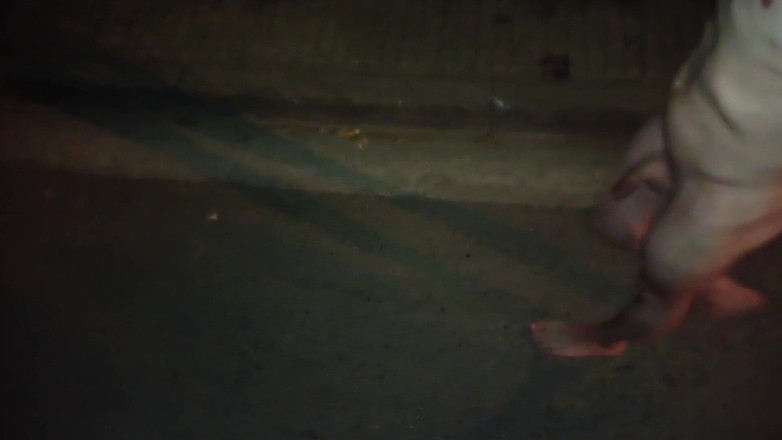 Dan Eagle: Sokakta çıplak sidik duşu