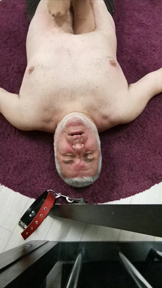 Lady Scarlet: Lady Scarlet - Sudut pandang lainnya