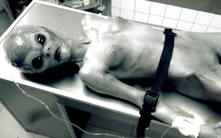 Xvirtual: X Virtual 9 Roswell Ofo la 180°