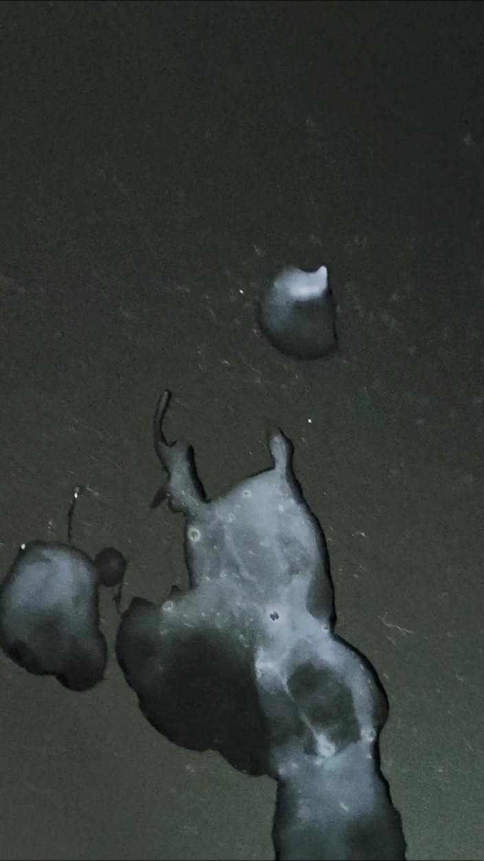 LolaCD: Sc033 - Distanță