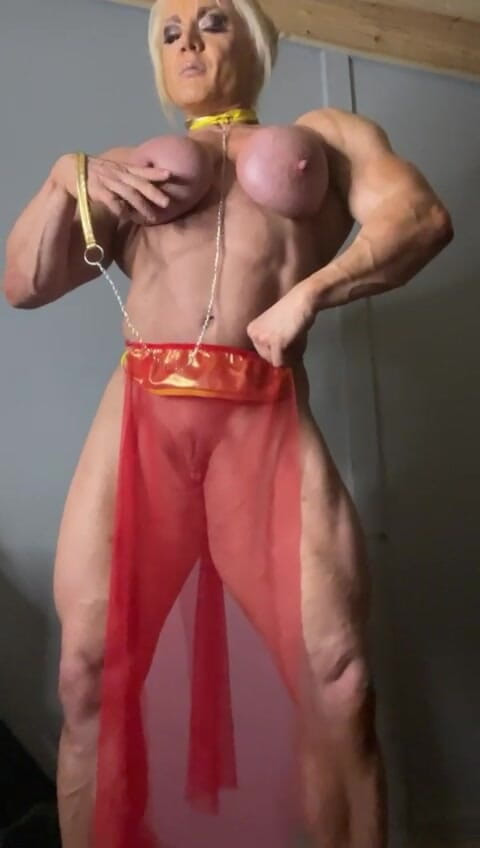 Lisa Cross: Prințesa Leah