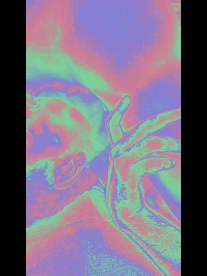 Ladyboy Karl: Zuig ladyboy in Holo