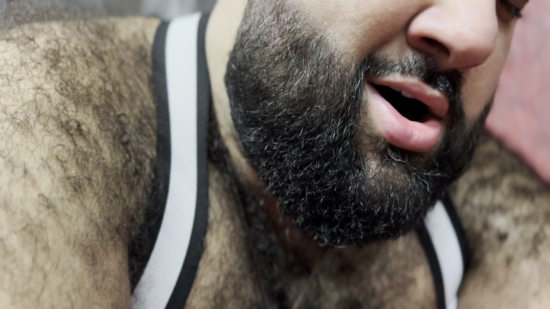 ScruffyStocky: Orsi maliziosi nel retto