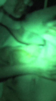 Horror Porn 13: Hospital Ghosts