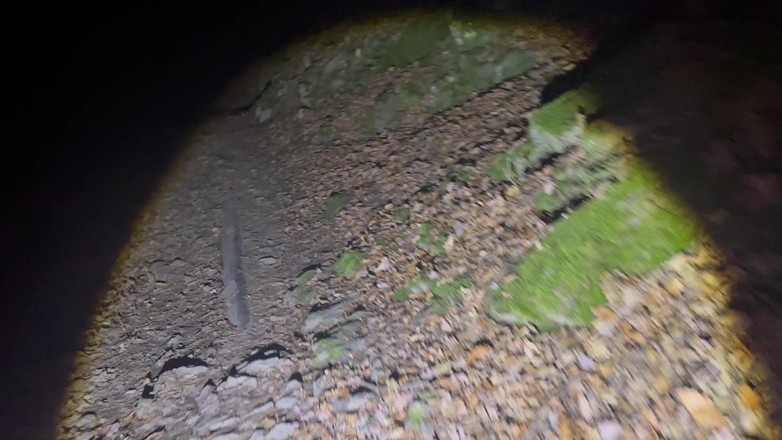 Putarankahotmilf: Caminhadas noturnas e remover a maioria das minhas roupas