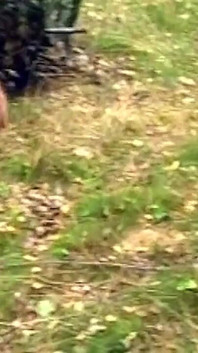 Rijpe brunette vingert druipend poesje in bos frenzy
