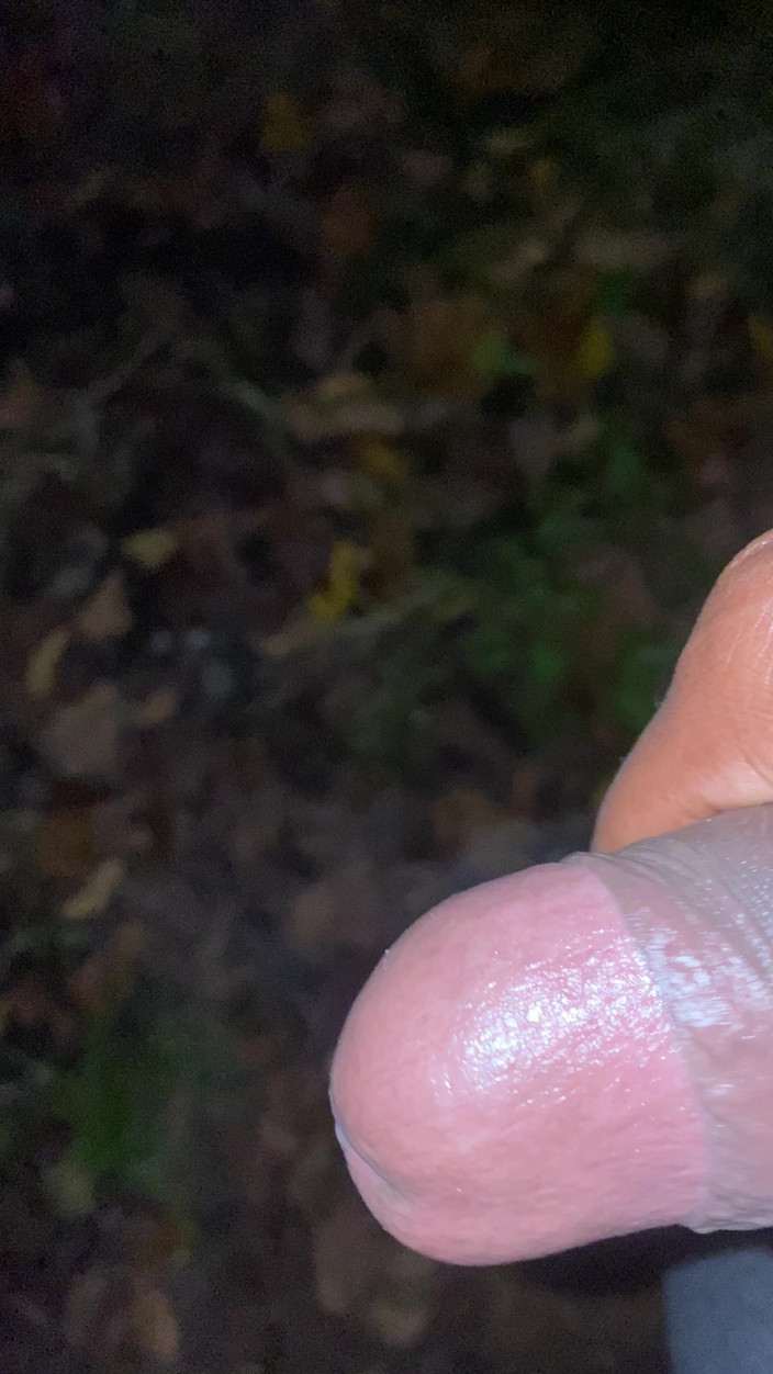 MerlinMystique: モーニングランフリーボールとイカム