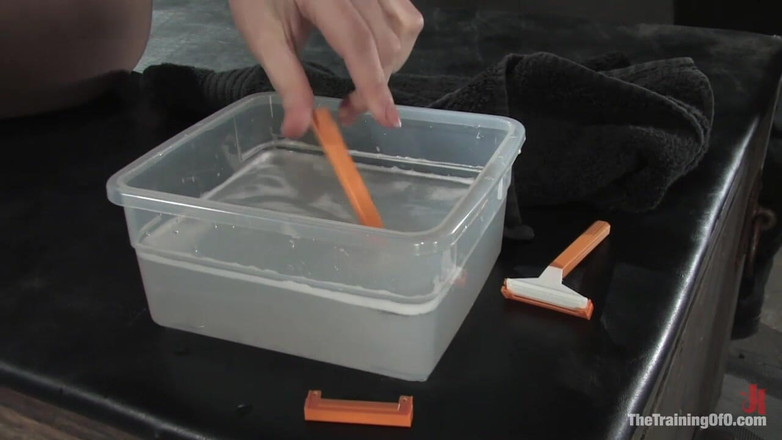 The Training of O by Kink: Dana Dearmond的训练，第四天