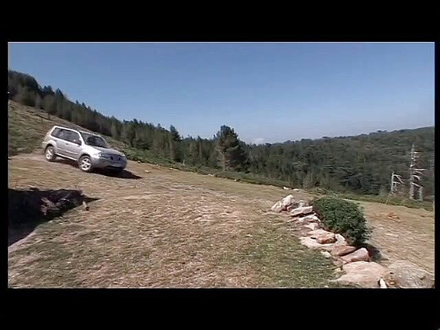 Black Sinner: 女孩童子军 - DVD