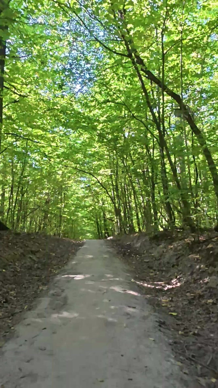 DevilbitchNat: I'm Walking with My Bare Ass in the Woods
