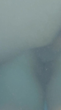 Risky Secret Sex in the Pool with a Stepsister and Distracted Stepfather at the Barbecue