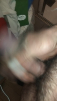 Hard and Unshaved Cock Always Ready