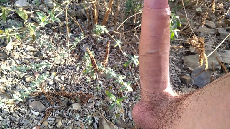 Elvissc: A Good Cumshot on the Mount of Big Fat Dick,...