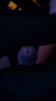 흑인 대물 자지에게 따먹히는 거유 밀프 로 러브 스키산69