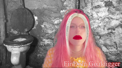 FinDom Goaldigger: Золотая трансформация в туалете